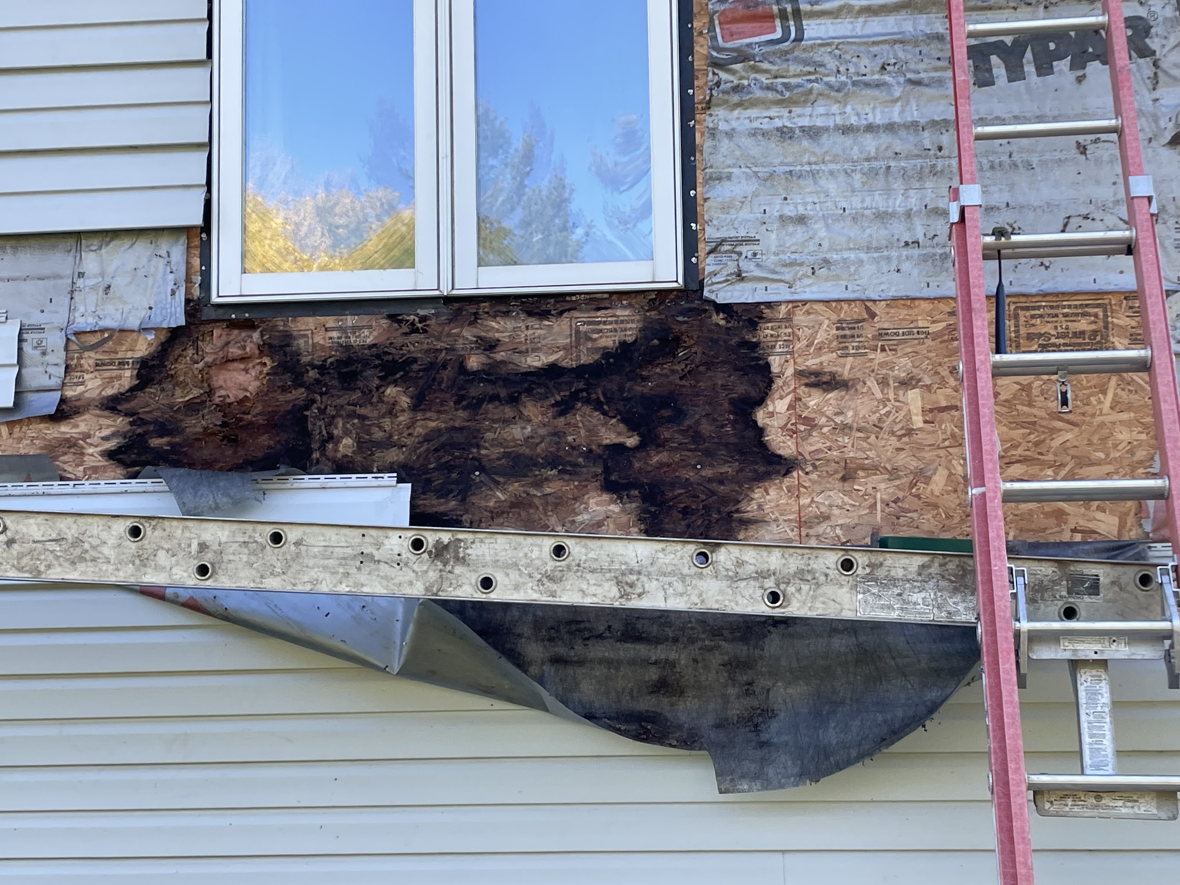 Close-up of extensive rot damage in OSB sheathing below window